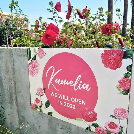アギオス・ゲオルギオス Kamelia 2022 Corfu Sant Georgeアパートホテル エクステリア 写真